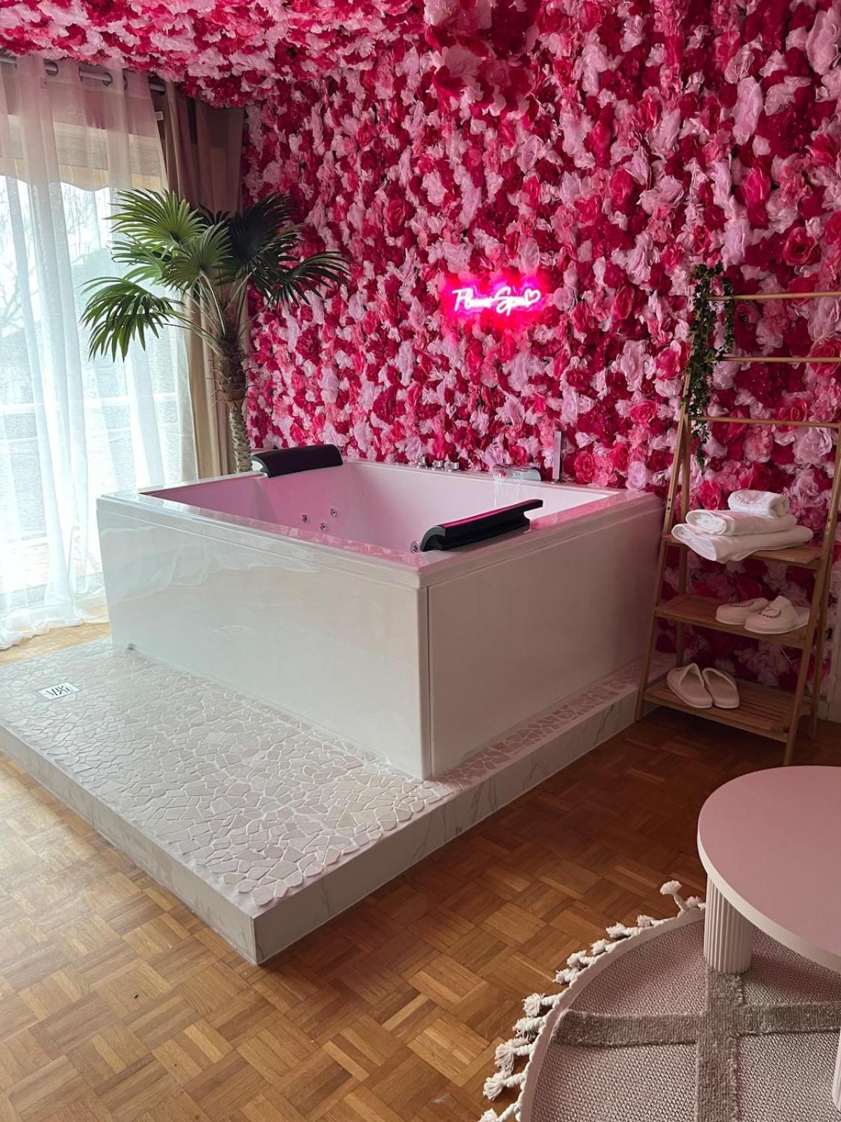 Flower - Jacuzzi Interieur - T2 * Toulouse